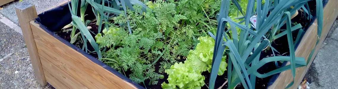 Banner huerto urbano