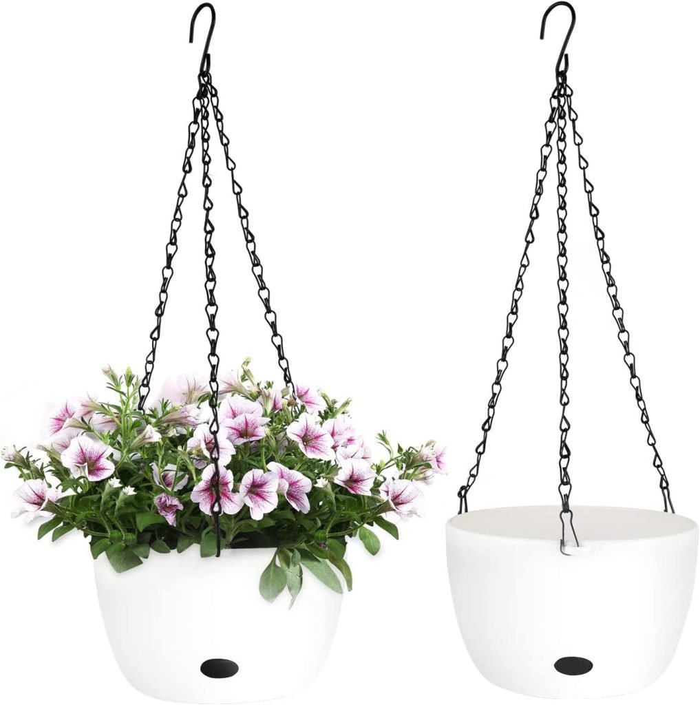 cesta surfinias colgantes