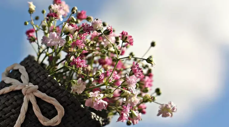 Qué son las flores preservadas