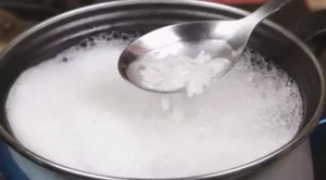 Agua de arroz para las plantas